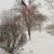 Kelly Bartholomew Petzold's profile image