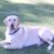 Sheila Rahorn's profile image
