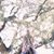 Mandi Bice's profile image