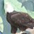 Debra Davis's profile image