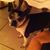 Joan Garvin's profile image