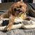 Melissa Wright Baranski's profile image