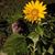 Brian Jennings's profile image
