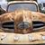 Marty Hanks's profile image