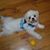 Linda Larsen's profile image