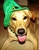 chris s.'s profile image