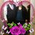 Douglas Batchelder's profile image