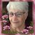 Kris Talbert's profile image