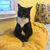 Caroline Reedy's profile image