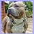 Mark Raymond's profile image