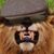 Jd Aricchi's profile image