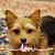 Sandra Covington's profile image