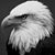Delma Hickey's profile image