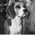 David Hale Smith's profile image