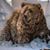 Catherine Albert's profile image