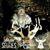 Lynn Coffey's profile image