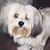 Cathy Hennessey's profile image