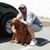 Michael Darby's profile image