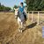 Kathie Rose Harris's profile image