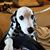 Gary James Brown's profile image