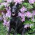 Jacinda Hammock's profile image