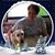 Laurie Farrar's profile image