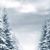 Diane Garlock Rich's profile image