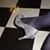 Rose Marie's profile image