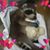Marianella Loyd's profile image