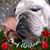 Tom Esterline's profile image