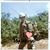 Becky Deahl Barnett's profile image