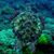 Elaine Schiess's profile image