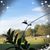 Debbie Collier's profile image