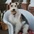 George L Bridges's profile image