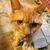 Vanessa Spriestersbach's profile image