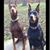 Allyn Fitch's profile image