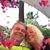 Midge Soltes's profile image