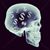 Rocky Cisneros's profile image