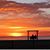 Loretta Futrell's profile image