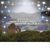 Melissa Stieren Scott's profile image