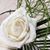 Amy McArthur Kennedy's profile image