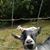 Lea Ann Foltz's profile image
