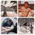 Tony Tosqui's profile image