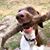 Laura Wilhelmy Smith's profile image