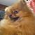 Don Prestridge's profile image