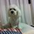 Jerry Wong's profile image