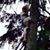 Diana Silva Galvez's profile image