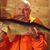Jim Jensen's profile image