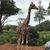 Wayne Mosteller's profile image