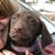 Kristi Westphal Kohnke's profile image